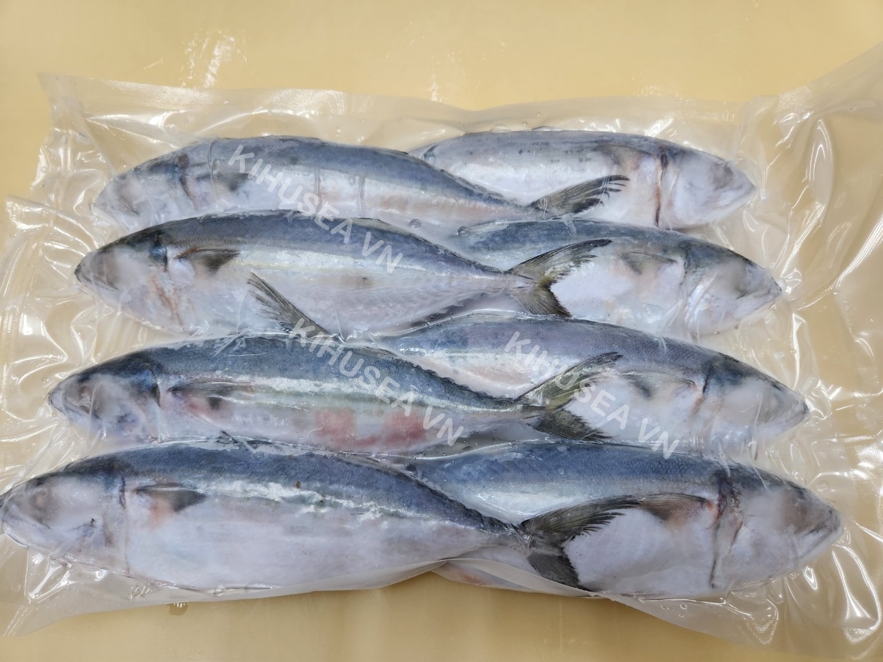 Whole cleaned Indian Mackerel